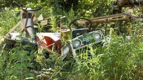 Photo from July 30, 2012