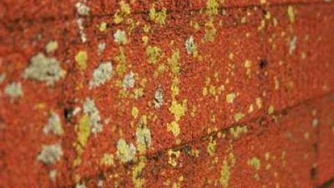 July '12 - Pontypool-Grain-Elevator51.jpg