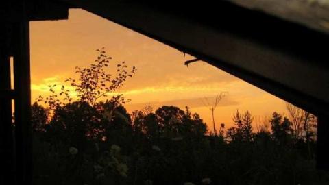 Photo from Sodom Farm Remains