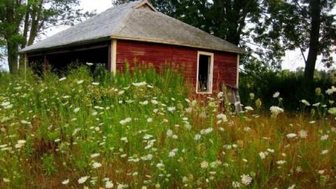 Sodom Farm Remains - 13 - IMG_7986d.jpg