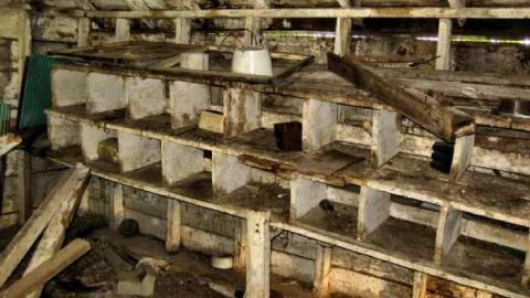 Photo from Sodom Farm Remains