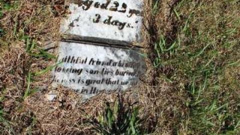 Plots with a view - Old-Presbyterian-Con.-2-Cemetery1.jpg