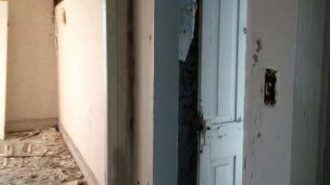 Photo from August 2012