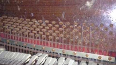 July 2012 - IMG_1123.jpg