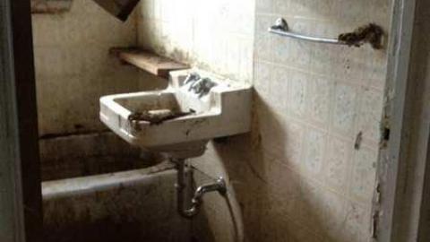 July 2012 - IMG_1132.jpg