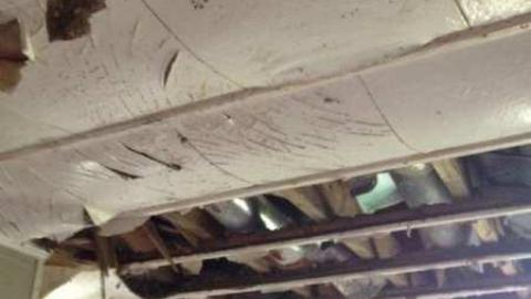 July 2012 - IMG_1141.jpg