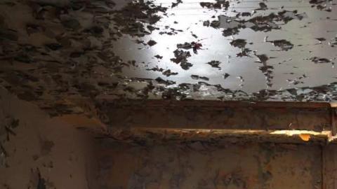 July 2012 - Camp-30-Bowmanville66.jpg