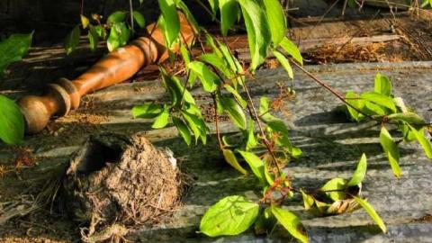 Demolished Grey Insulbrick photo 2