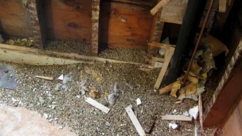 Demolished Grey Insulbrick photo 3