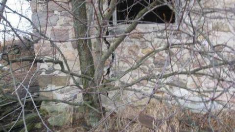 Gallery - Way-before-I-was-born39.jpg