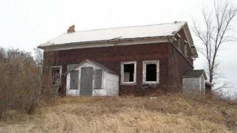 Gallery - Farm-Beeton1.jpg