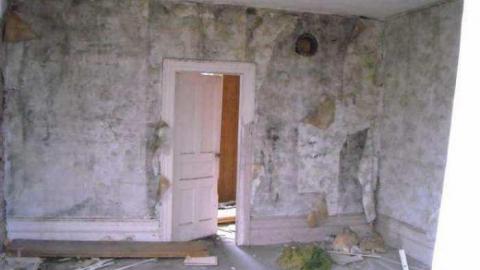 Farm- Beeton photo 3