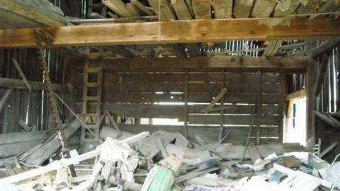 Gallery - Farm-Beeton6.jpg