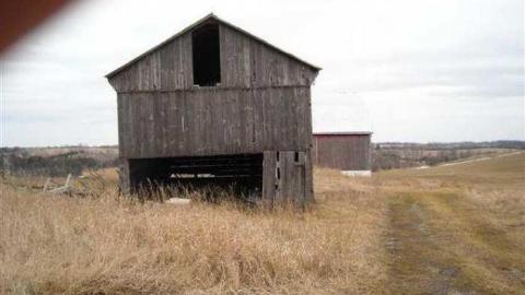 Gallery - Farm-Beeton9.jpg