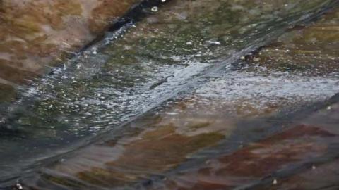 August 2012 - Motel-Longbranch341.jpg