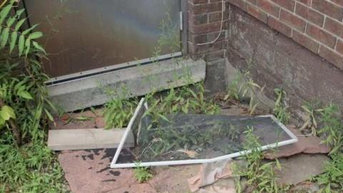 August 2012 - niagara011.jpg