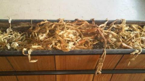 peninsula air - Peninsula-Air-Hangar23.jpg