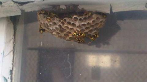 peninsula air 2 - Peninsula-Air-Hangar7.jpg