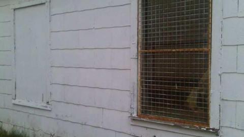 Photo from peninsula air 2