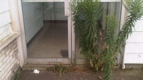 peninsula air 2 - Peninsula-Air-Hangar34.jpg