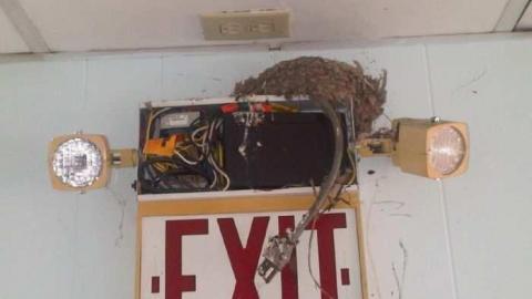 peninsula air 2 - Peninsula-Air-Hangar10.jpg