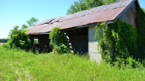 Standing Alone - Standing-Alone32.jpg