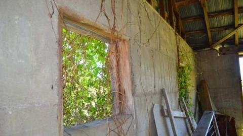 Standing Alone photo 4