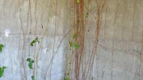 Standing Alone - Standing-Alone33.jpg