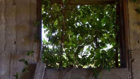 Standing Alone - Standing-Alone39.jpg