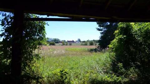 Standing Alone - Springwater, Ontario