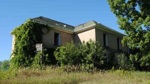 Summer Monday - Perth-Farm33.jpg