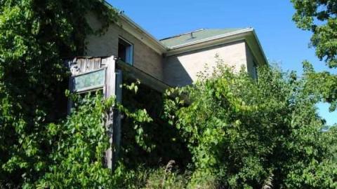 Summer Monday - Perth-Farm35.jpg