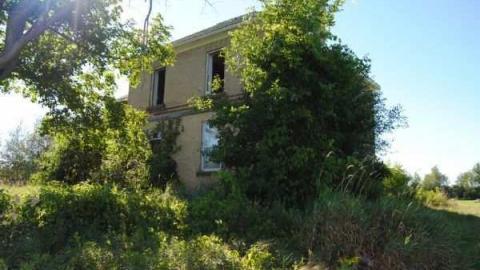 Summer Monday - Perth-Farm37.jpg