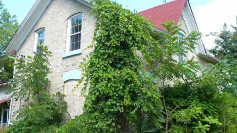 Batty - MacRae-Farm18.jpg