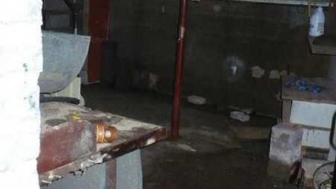 Batty - MacRae-Farm26.jpg