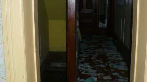 Batty - MacRae-Farm21.jpg