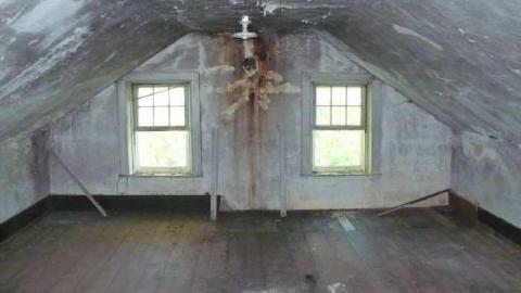 Batty - MacRae-Farm34.jpg