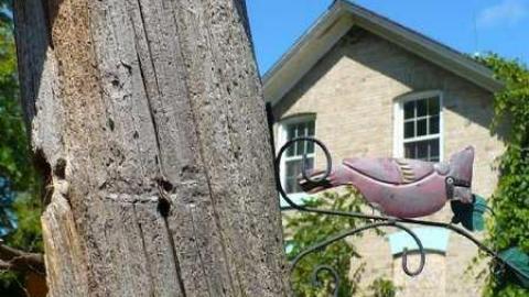 Batty - MacRae-Farm15.jpg