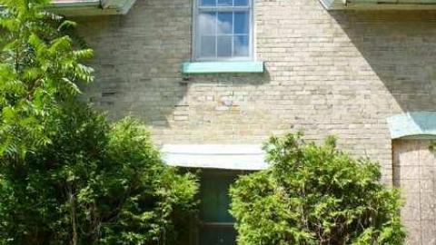 Batty - MacRae-Farm16.jpg