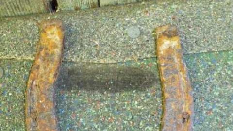 Batty - MacRae-Farm17.jpg