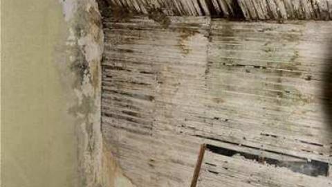 Long island - Long-Island-in-Manotick44.jpg