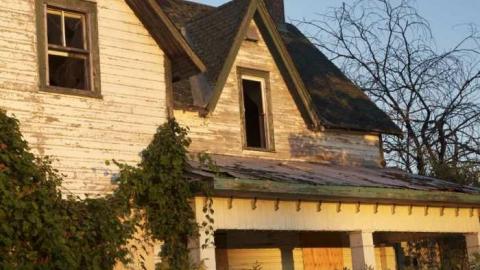 Long Island in Manotick photo 5