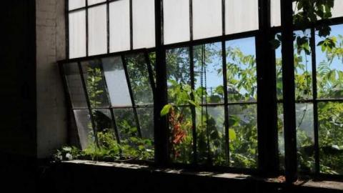 Aug  6 2012 - Biltmore-Hats11.jpg