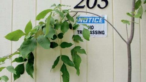 Very Quick Walk Through - Green-Oaks-Trailer-Park10.jpg