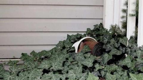 Very Quick Walk Through - Green-Oaks-Trailer-Park9.jpg