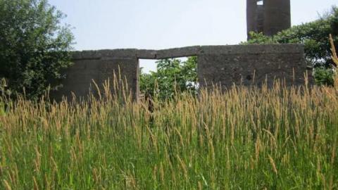 Burger Remains - Burger-and-Fox-Rd-Farm-Remains16.jpg