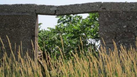 Photo from Burger Remains