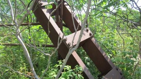 Photo from Burger Remains