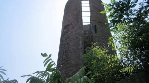 Photo from Burger Remains