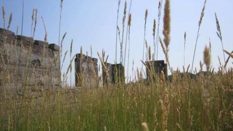 Burger Remains - Burger-and-Fox-Rd-Farm-Remains23.jpg